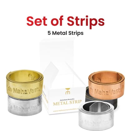 Metal Strips  - Entrance & Toilet Treatments-Box of 50