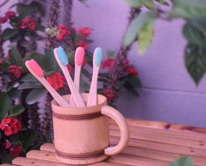 Handmade Bamboo Toothbrush- Pair of 2