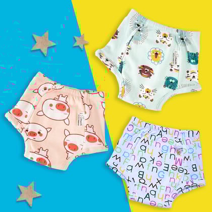 Snug Potty Training Pants2-3 Years Pack 12-Size 2 (2-3 years)