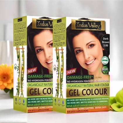Natural Hair Colour | Damage Free Gel Hair Color For Women & Men | No Harmful Chemicals, Long Lasting, Safe & Gentle - Available in 6 Shades - (400ml + 40g) (Pack of 2)-Dark Brown