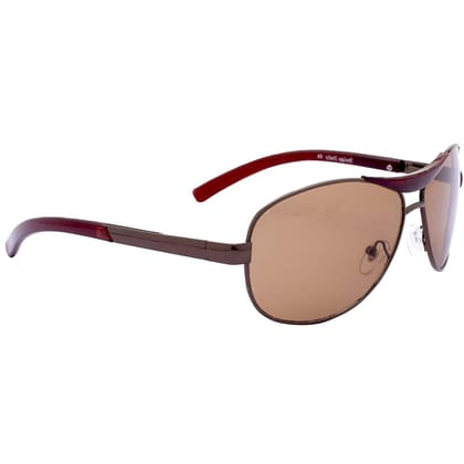 Dervin Aviator Sunglasses for Men (Brown)
