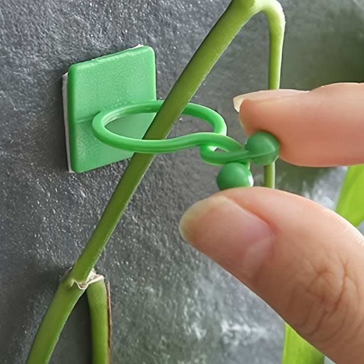 Easy Plant Support Self-Adhesive Clips 🌿(Pack Of 30)-Pack of 30 @ Rs 499