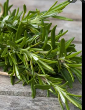Rosemary 1 Pack