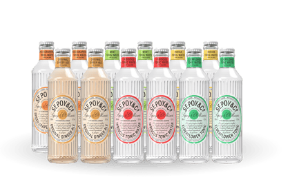 Tonic & Ginger Ale Tasting Box - Limited Edition (Pack of 12)