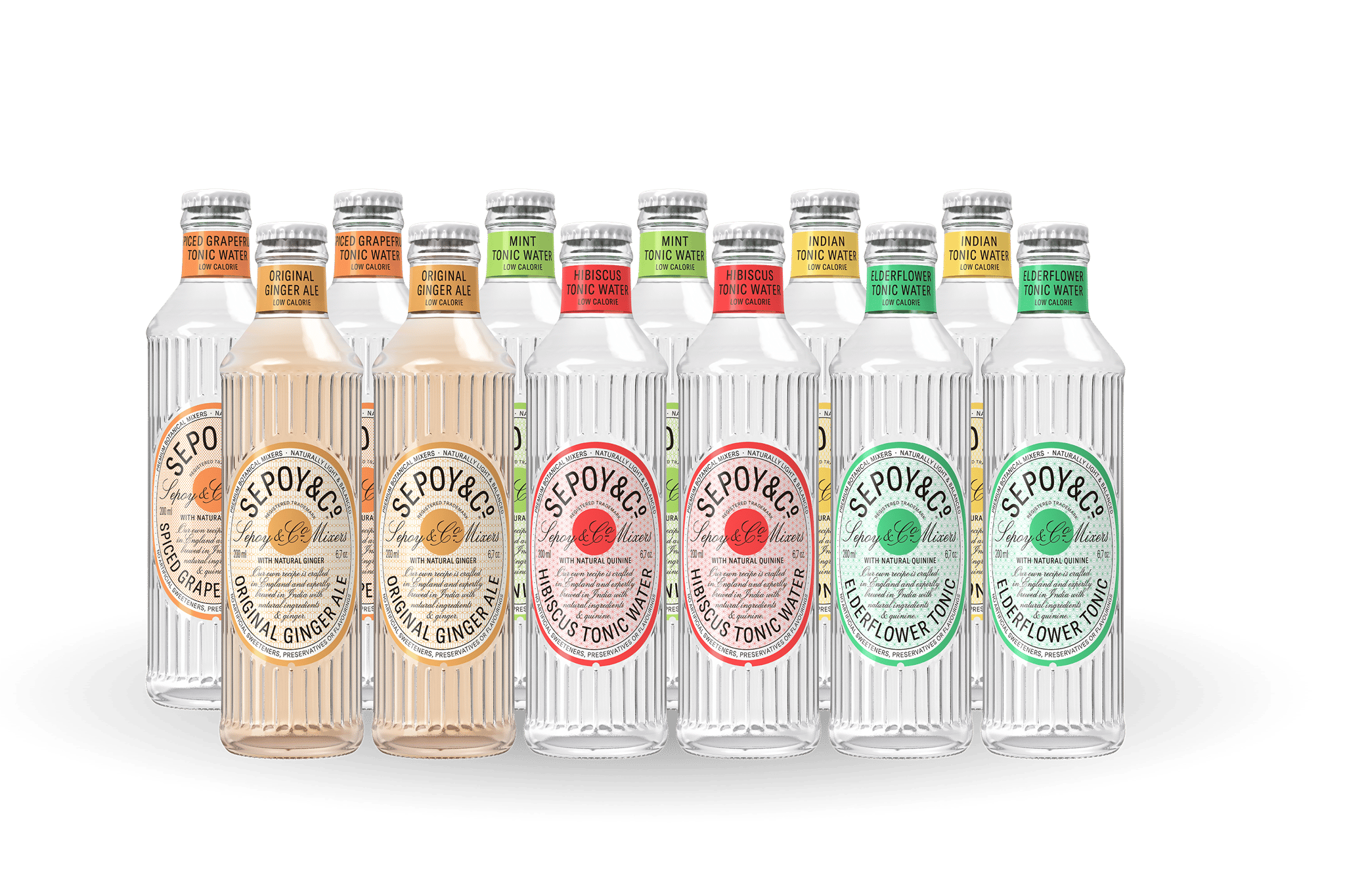 Tonic & Ginger Ale Tasting Box - Limited Edition (Pack of 12)