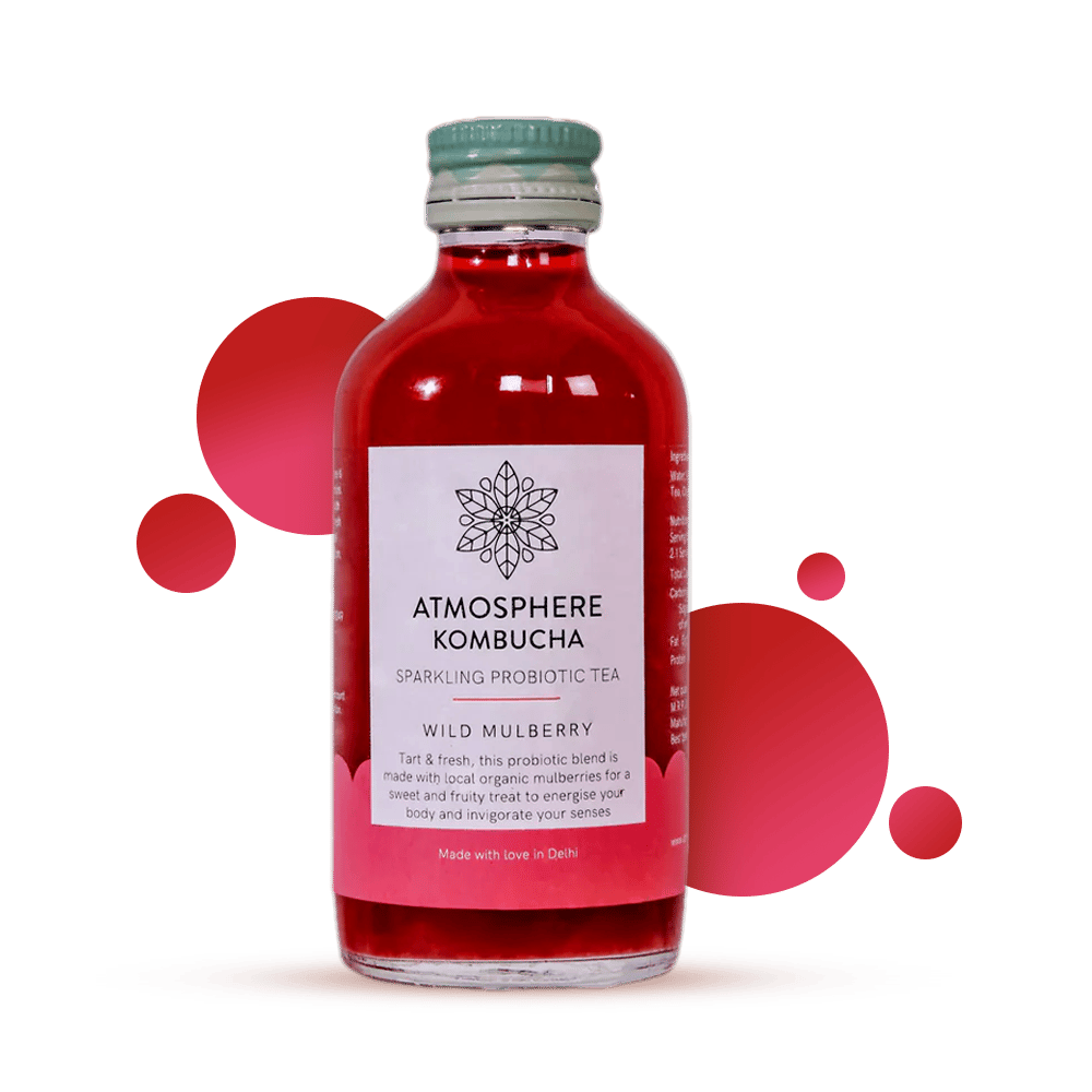 Wild Mulberry Kombucha  <DELHI MUMBAI BANGALORE HYDERABAD JAIPUR AND PUNE ONLY>-Single bottle