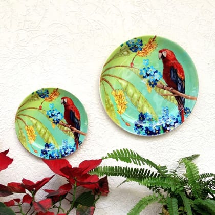 Macaw Wall Plate-Large: 26 Cm