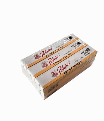 Padmini Dhoop Sticks - 12 Boxes of 10 Sticks Each - 5" King