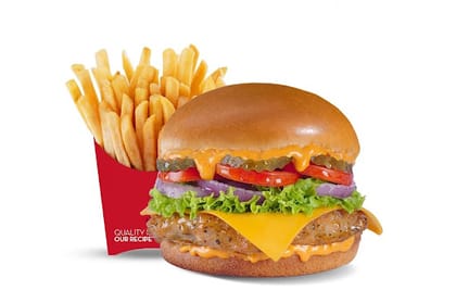Chickenatorr + Side