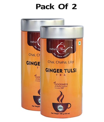 nature Chai Ginger Tulsi Tea Loose Leaf 100 gm Pack of 2