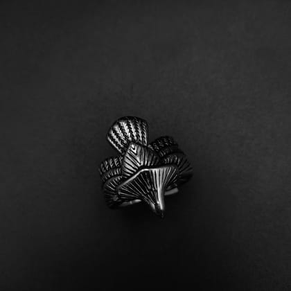 SkyWing Ring-9