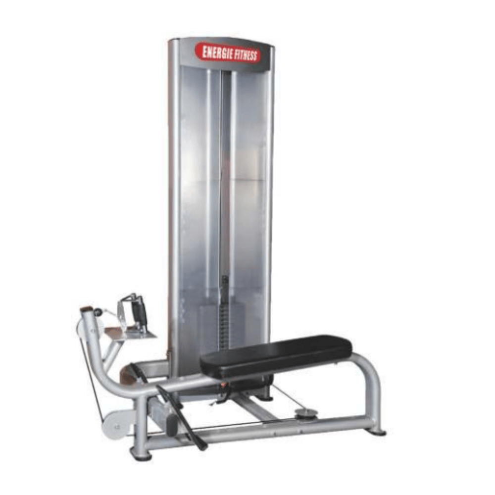 Seated Horizontal Pully Machine Price in India ES-036