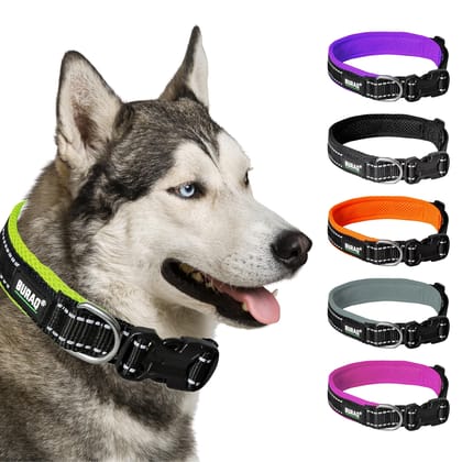 Premium Reflective Padded Dog Collar-Green / Large