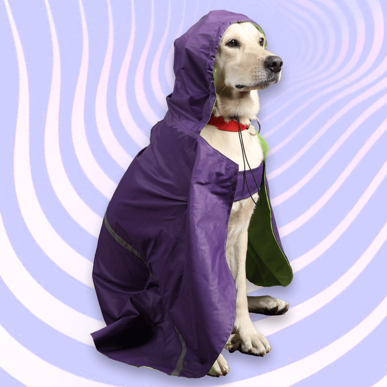 Skatrs Full Coverage Cape Style Raincoat for Dogs and Cats Purple-Skatrs Full Coverage Cape Style Raincoat for Dogs and Cats (Purple) - M