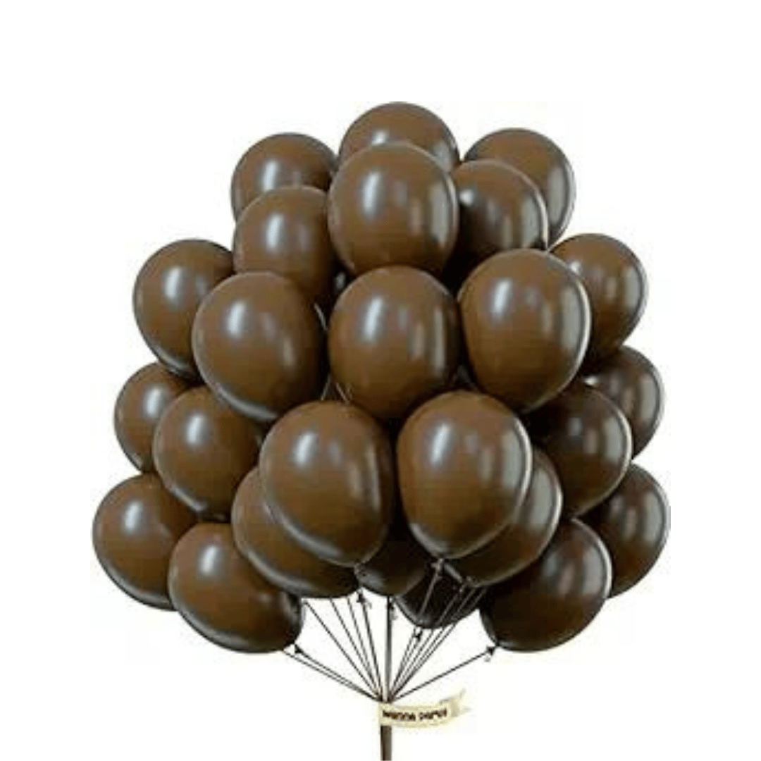 Wanna Party Chocolate Brown Latex Balloons 10" - 20PC