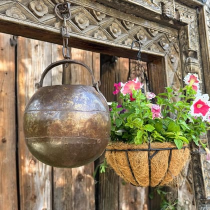 Hanging metal planter  : Burhan - 15