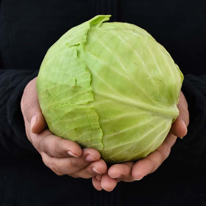 Green Cabbage-1 Kg