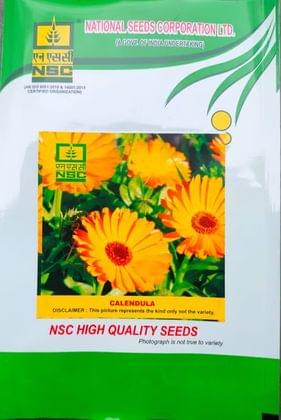 NSC Calendula Flower Seed - 5 gm packet