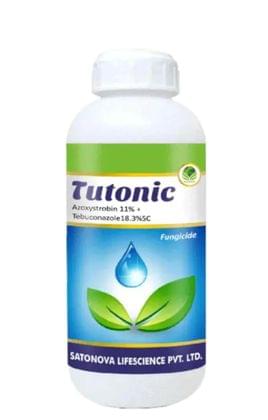 Tutonic 